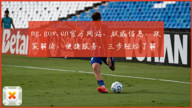 mg.gov.cn官方网站，权威信息，政策解读，便捷服务，三步轻松了解