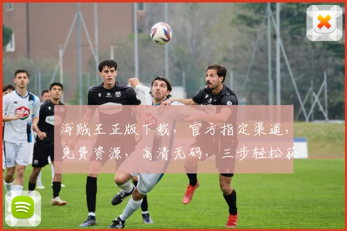 海贼王正版下载，官方指定渠道，免费资源，高清无码，三步轻松获取