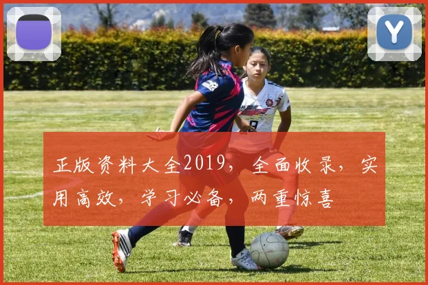 正版资料大全2019，全面收录，实用高效，学习必备，两重惊喜