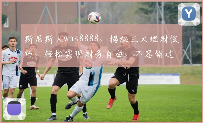 斯尼斯人wns8888，揭秘三大理财技巧，轻松实现财务自由，不容错过