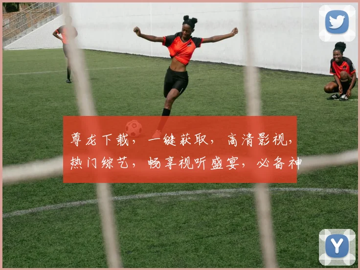 尊龙下载，一键获取，高清影视，热门综艺，畅享视听盛宴，必备神器，不容错过